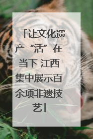 让文化遗产“活”在当下 江西集中展示百余项非遗技艺
