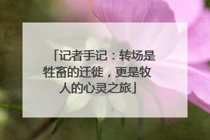 记者手记：转场是牲畜的迁徙，更是牧人的心灵之旅