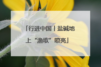 行进中国丨盐碱地上“渔歌”嘹亮
