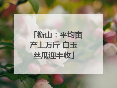 衡山：平均亩产上万斤 白玉丝瓜迎丰收