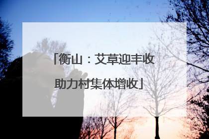 衡山：艾草迎丰收 助力村集体增收