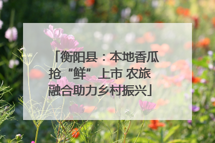 衡阳县：本地香瓜抢“鲜”上市 农旅融合助力乡村振兴