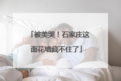 被美哭！石家庄这面花墙藏不住了