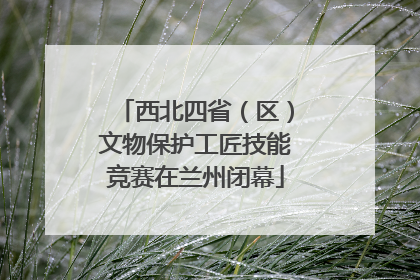 西北四省（区）文物保护工匠技能竞赛在兰州闭幕