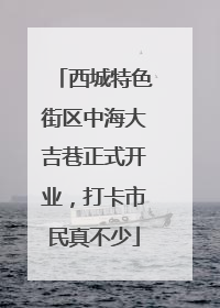 西城特色街区中海大吉巷正式开业，打卡市民真不少