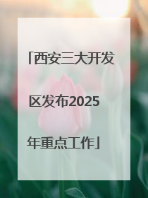 西安三大开发区发布2025年重点工作