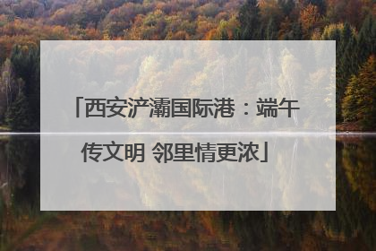 西安浐灞国际港：端午传文明 邻里情更浓