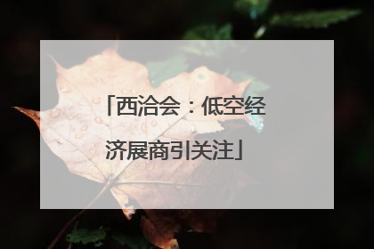 西洽会：低空经济展商引关注