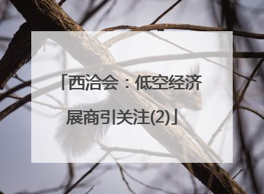 西洽会：低空经济展商引关注(2)