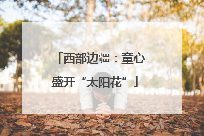 西部边疆：童心盛开“太阳花”