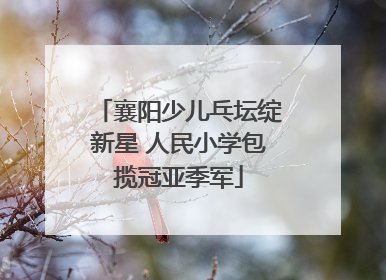 襄阳少儿乓坛绽新星 人民小学包揽冠亚季军