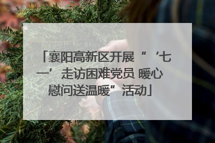 襄阳高新区开展“‘七一’走访困难党员 暖心慰问送温暖”活动