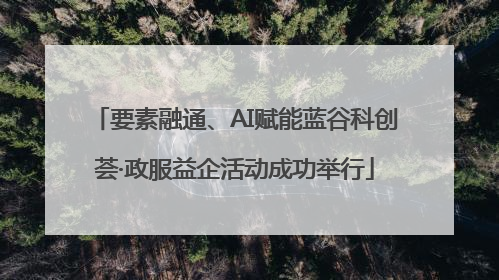 要素融通、AI赋能蓝谷科创荟·政服益企活动成功举行