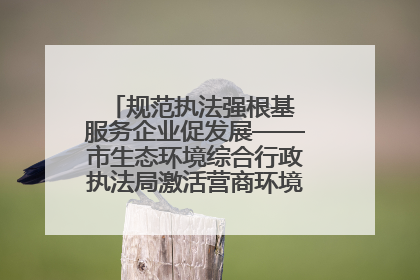 规范执法强根基 服务企业促发展——市生态环境综合行政执法局激活营商环境“绿色动能”