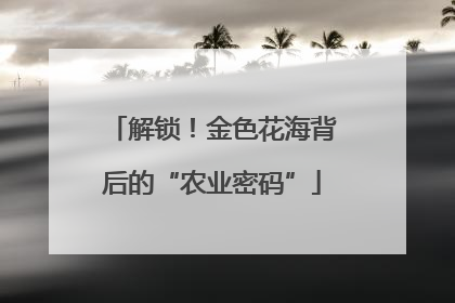 解锁！金色花海背后的“农业密码”
