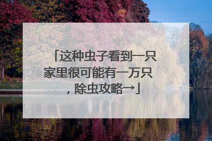 这种虫子看到一只家里很可能有一万只，除虫攻略→