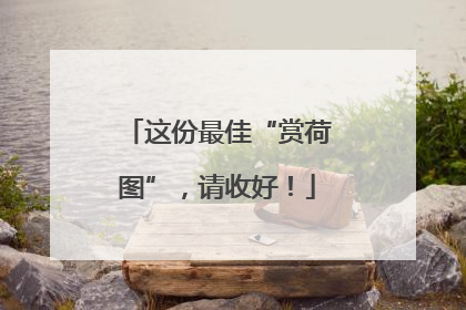 这份最佳“赏荷图”，请收好！