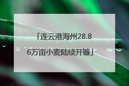 连云港海州28.86万亩小麦陆续开镰