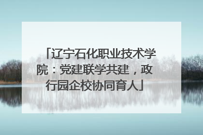 辽宁石化职业技术学院：党建联学共建，政行园企校协同育人