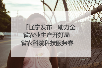 辽宁发布｜助力全省农业生产开好局 省农科院科技服务春耕备耕成效显著