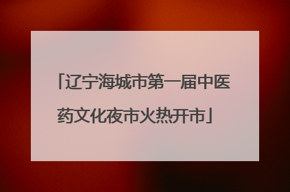 辽宁海城市第一届中医药文化夜市火热开市