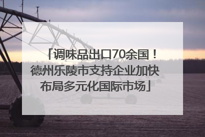 调味品出口70余国！德州乐陵市支持企业加快布局多元化国际市场