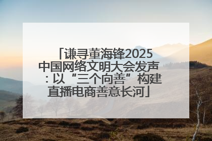 谦寻董海锋2025中国网络文明大会发声：以“三个向善”构建直播电商善意长河