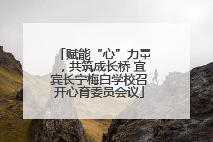 赋能“心”力量，共筑成长桥 宜宾长宁梅白学校召开心育委员会议