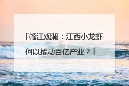 赣江观澜：江西小龙虾何以撬动百亿产业？