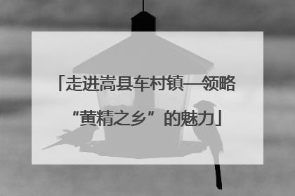 走进嵩县车村镇—领略“黄精之乡”的魅力