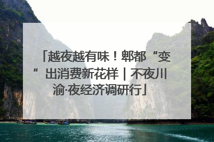 越夜越有味！郫都“变”出消费新花样｜不夜川渝·夜经济调研行