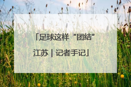 足球这样“团结”江苏｜记者手记