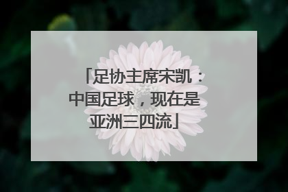 足协主席宋凯：中国足球，现在是亚洲三四流