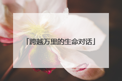 跨越万里的生命对话