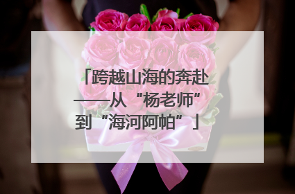 跨越山海的奔赴——从“杨老师”到“海河阿帕”