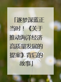 逐梦深蓝正当时！《关于推动海洋经济高质量发展的提案》背后的故事