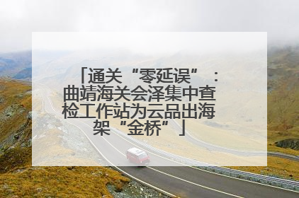 通关“零延误”：曲靖海关会泽集中查检工作站为云品出海架“金桥”