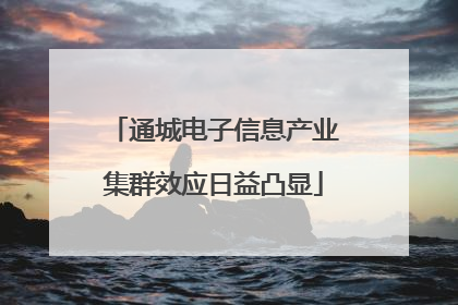 通城电子信息产业集群效应日益凸显