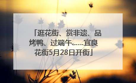 逛花街、赏非遗、品烤鸭、过端午……宜良花街5月28日开街