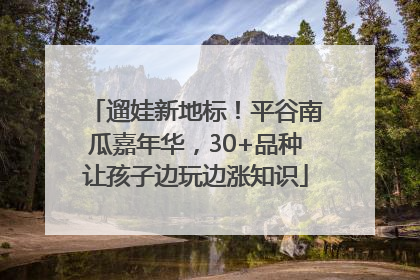 遛娃新地标！平谷南瓜嘉年华，30+品种让孩子边玩边涨知识
