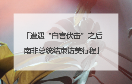 遭遇“白宫伏击”之后 南非总统结束访美行程
