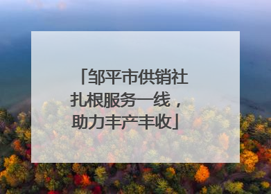 邹平市供销社扎根服务一线，助力丰产丰收