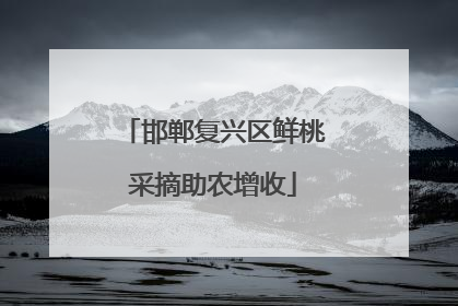 邯郸复兴区鲜桃采摘助农增收