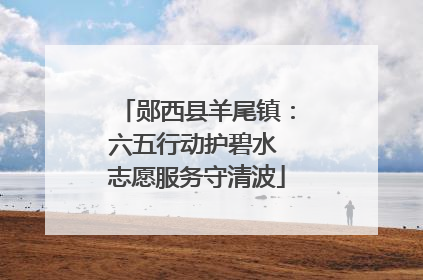 郧西县羊尾镇：六五行动护碧水 志愿服务守清波