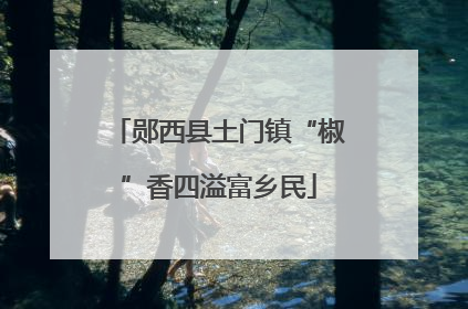 郧西县土门镇“椒”香四溢富乡民