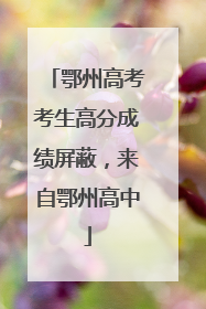 鄂州高考考生高分成绩屏蔽，来自鄂州高中