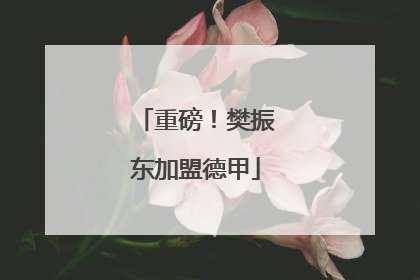 重磅！樊振东加盟德甲