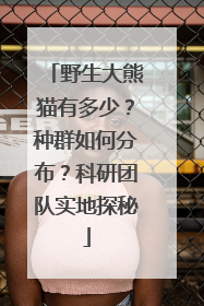 野生大熊猫有多少？种群如何分布？科研团队实地探秘