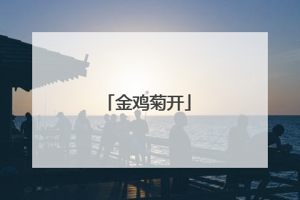 金鸡菊开