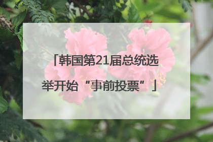 韩国第21届总统选举开始“事前投票”